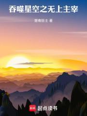 吞噬星空之无上主宰免费观看