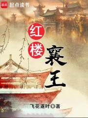 红楼襄王TXT