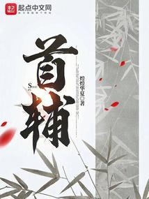 首辅家的貌美小夫郎