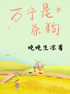 万宁是那里