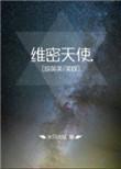 维密天使番外