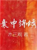 囊中锦绣TXT百度