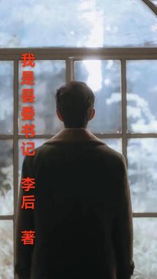 我是县委书记TXT