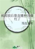 被流放后靠直播种田爆红了 残夜水明