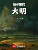 箱子里的大明国