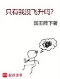 只有我没飞升吗 国王陛下