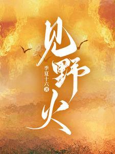 向野火by季夏十六TXT