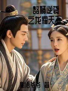 赘婿龙成李宁