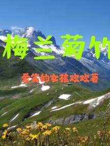 梅兰菊竹还是梅兰竹菊的排序
