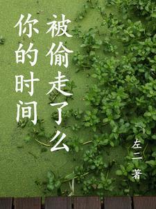 时间被偷走了怎么形容