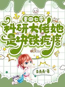 重生七零我成了科技大佬后
