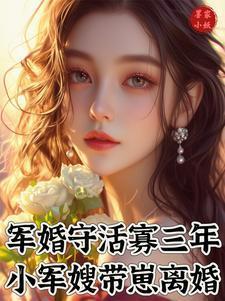 了军婚