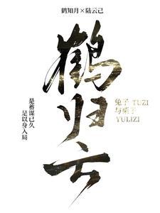 鹤归云岫全文阅读