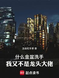 什么金盆洗手我又不是龙头大佬无防盗