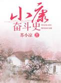 小康奋斗史TXT