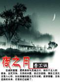 夜之月光