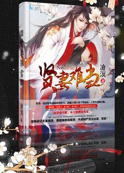 贤妻难当60集电视连续剧